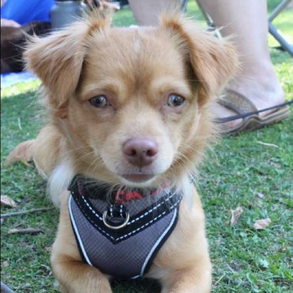 Meet your Posher, Jeremy - Picture 1 of 1